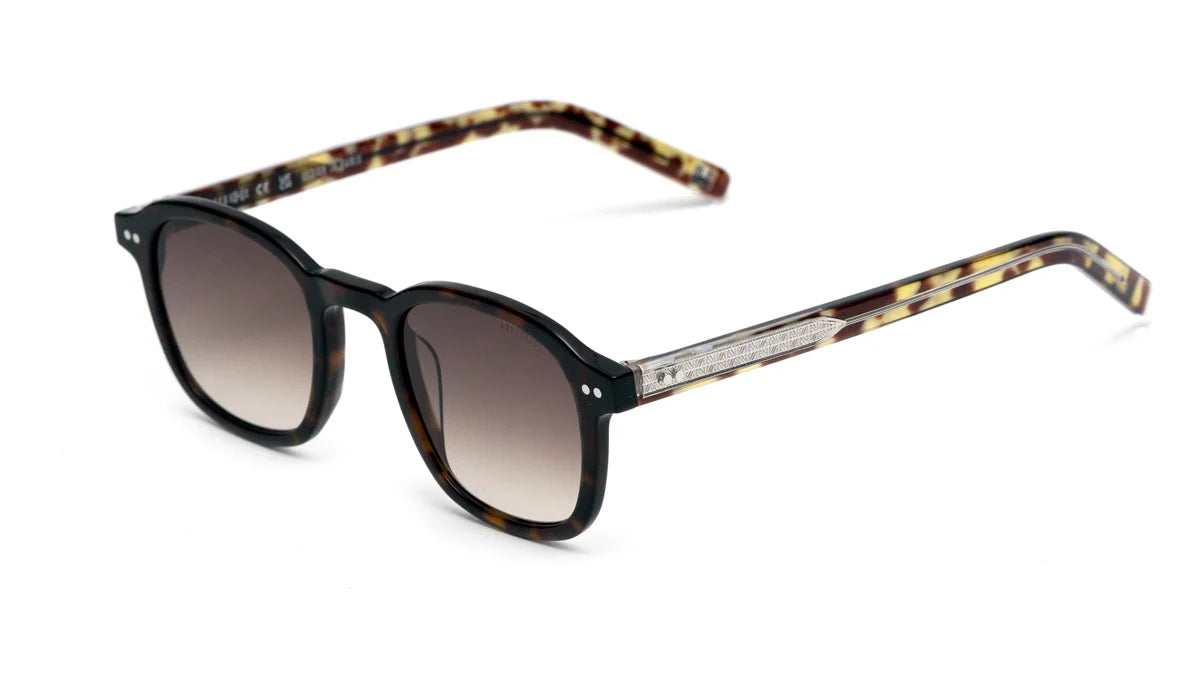 Andy Brook – Caleb - Écaille