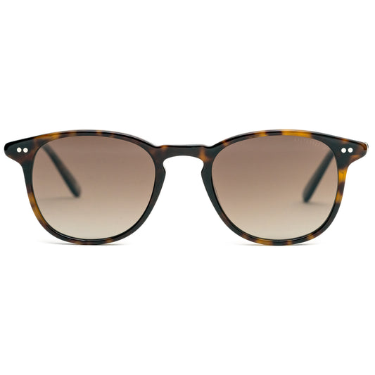 Andy Brook – Andrew NE - Tortoiseshell